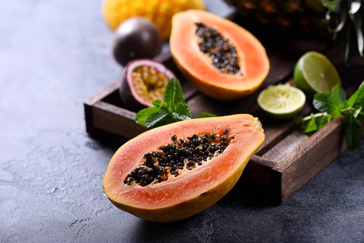 Raw papaya: one of the fruits best-avoided during pregnancy