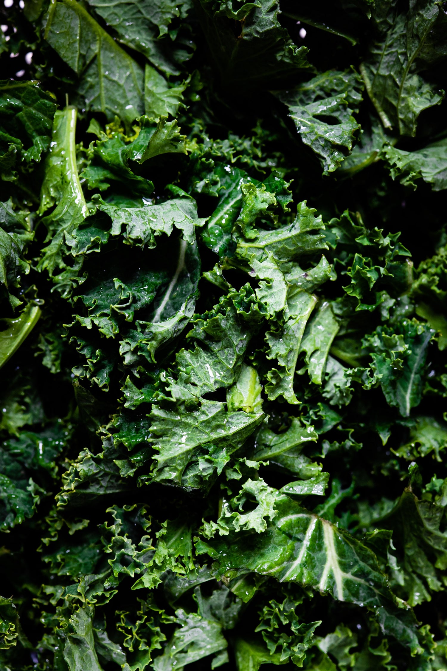 Kale, one of the key LuvBelly greens powder ingredients.