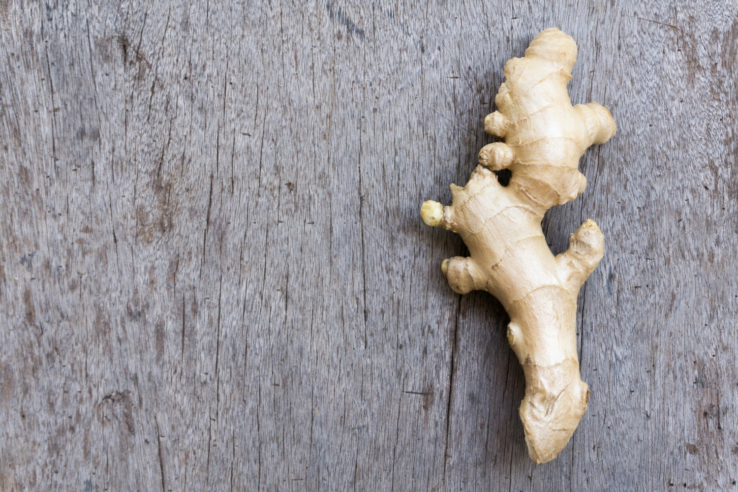 Ginger root, one of the key LuvBelly greens powder ingredients.